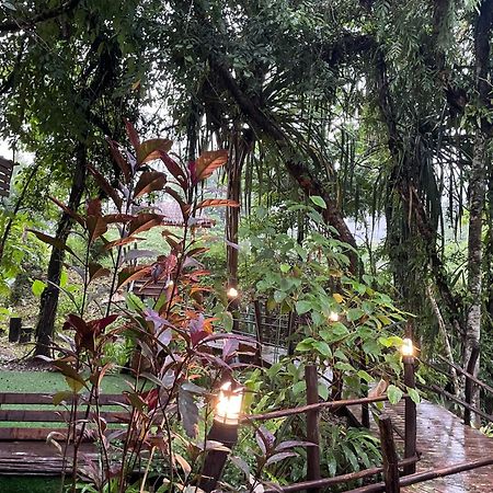 Khaosok Farmstay Khao Sok National Park Esterno foto
