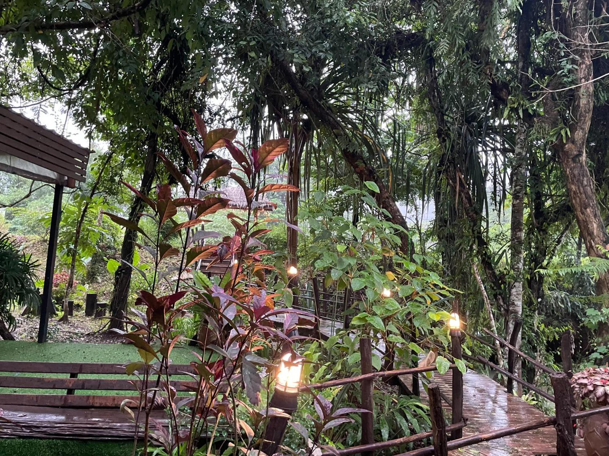 Khaosok Farmstay Khao Sok National Park Esterno foto