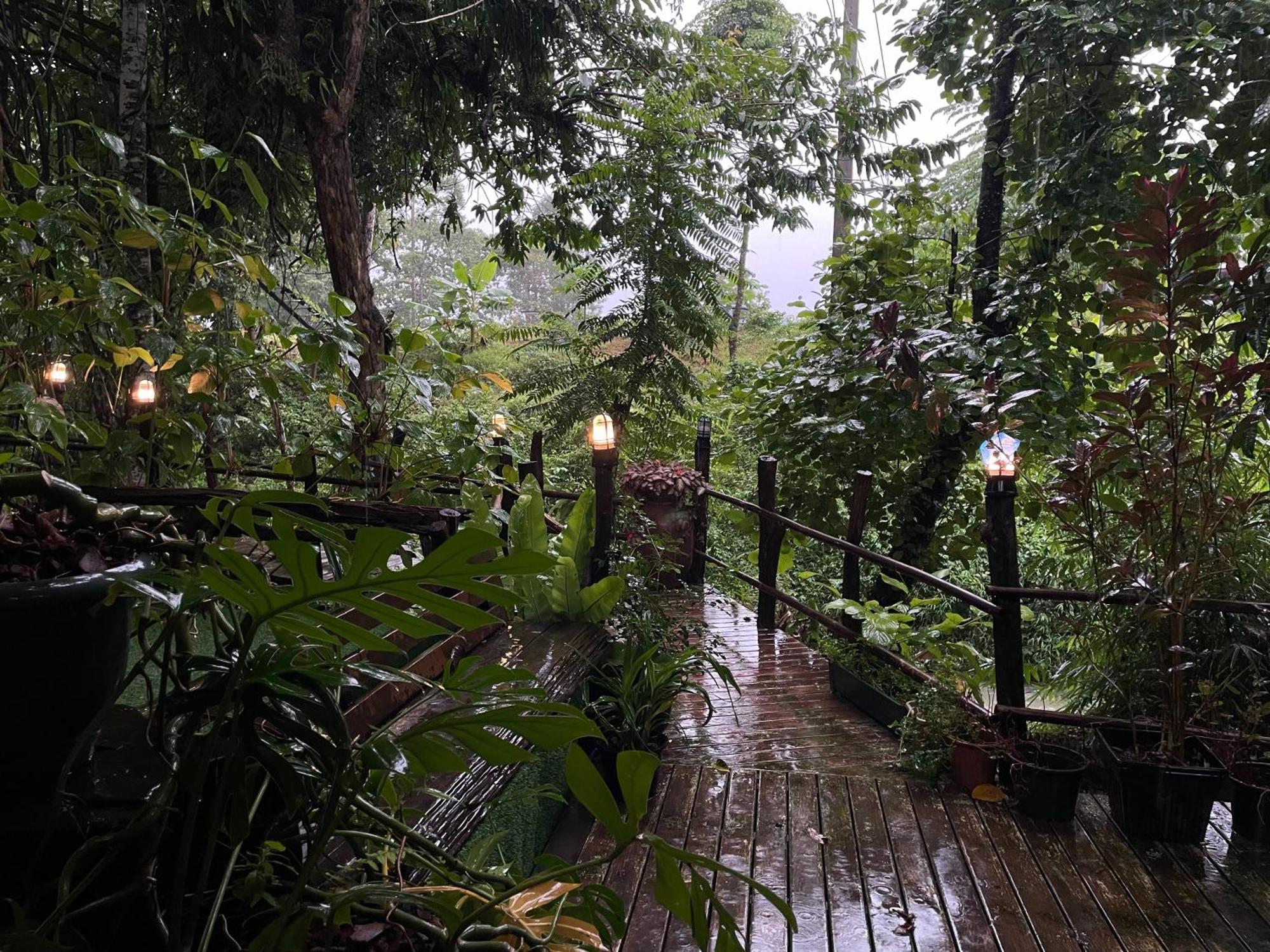 Khaosok Farmstay Khao Sok National Park Esterno foto